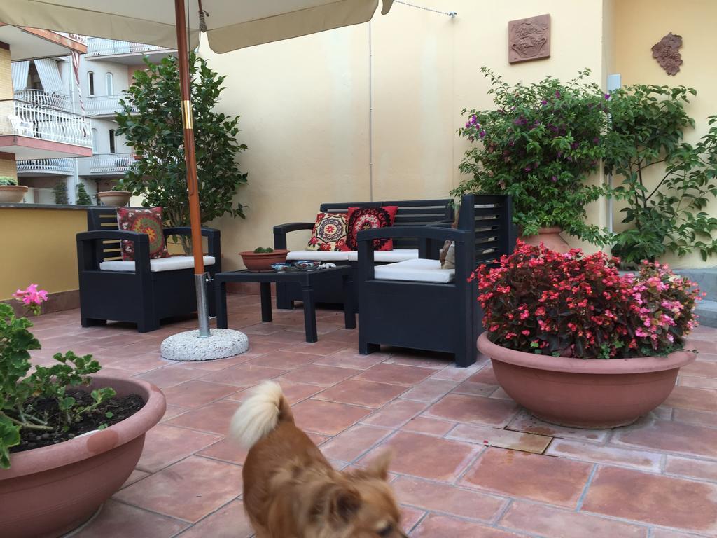A Casa Di Grace Bed & Breakfast Cassino Bagian luar foto