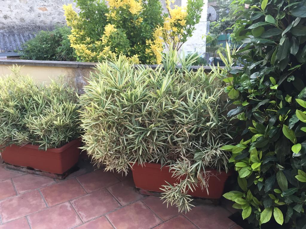 A Casa Di Grace Bed & Breakfast Cassino Bagian luar foto